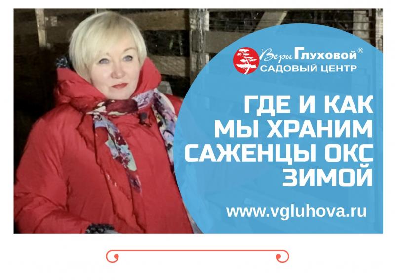 Где и как мы храним наши саженцы ОКС зимой