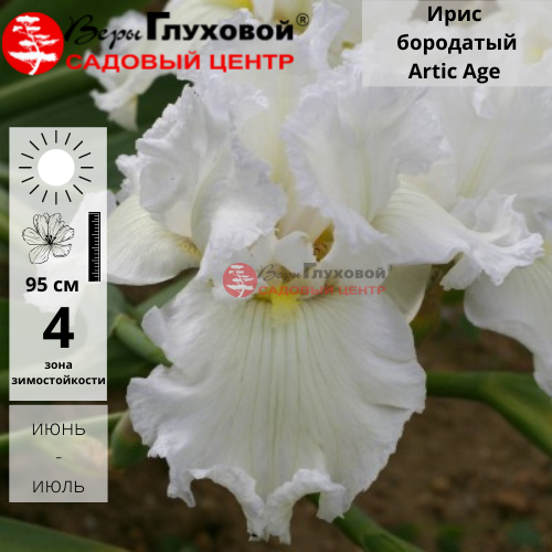 Основное изображение товара