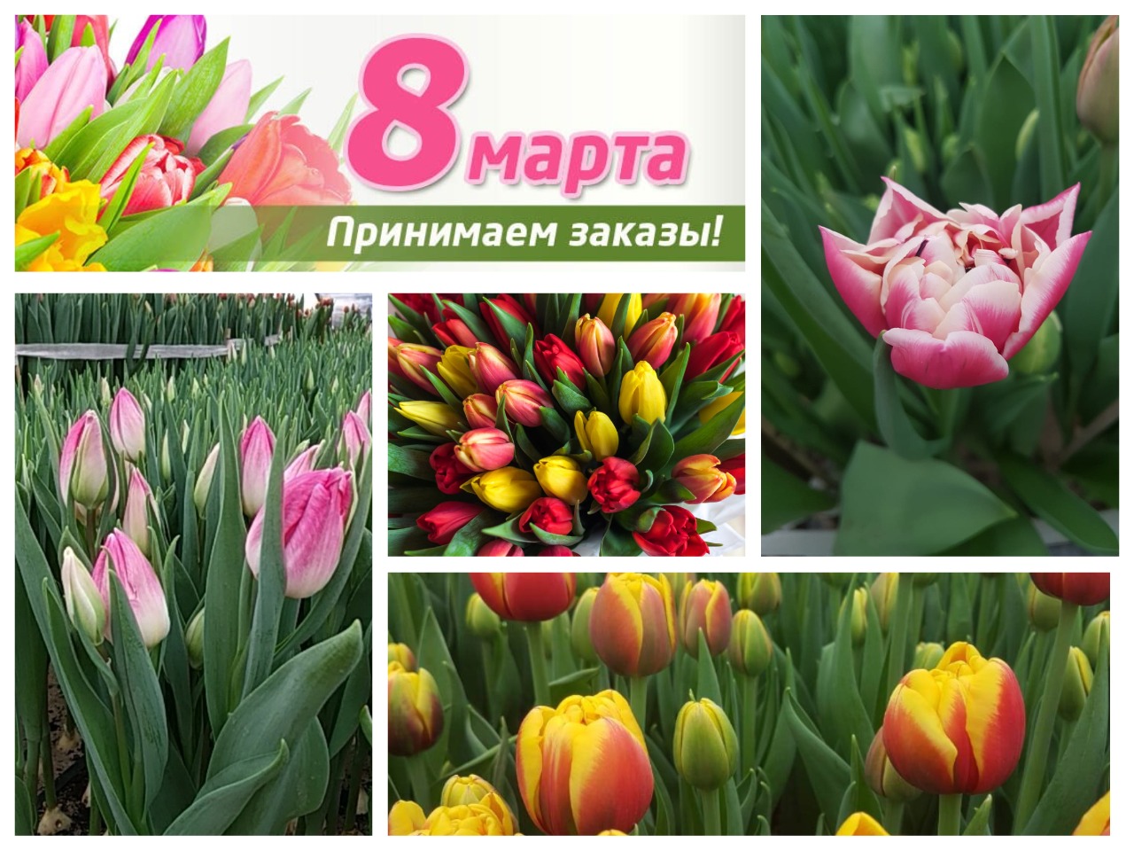 Подготовка к 8 марта Подготовка к 8 марта