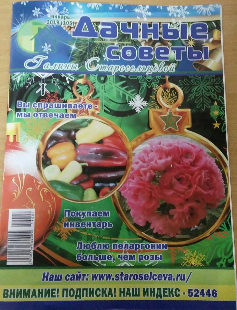 Вышел январский номер "Дачных Советов" Вышел январский номер "Дачных Советов"