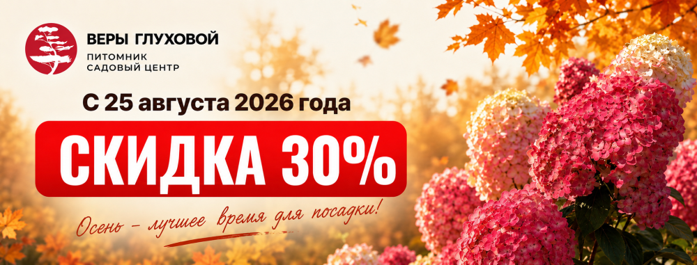 Осенняя акция!