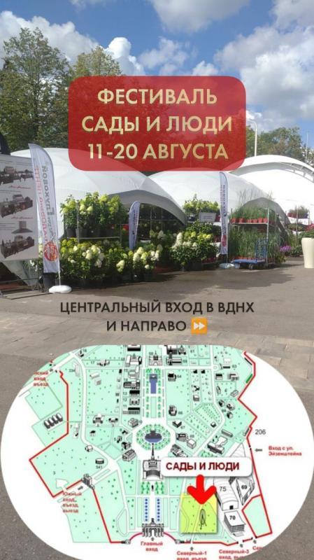 Новинки!!! на фестивале Сады и люди!