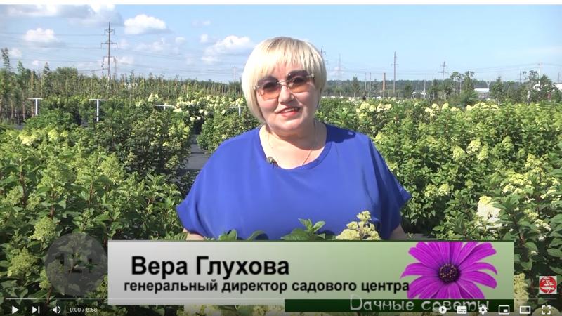 Новое видео на youtube