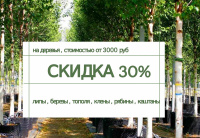 Осенние скидки на деревья