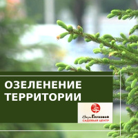 Проект по озеленению