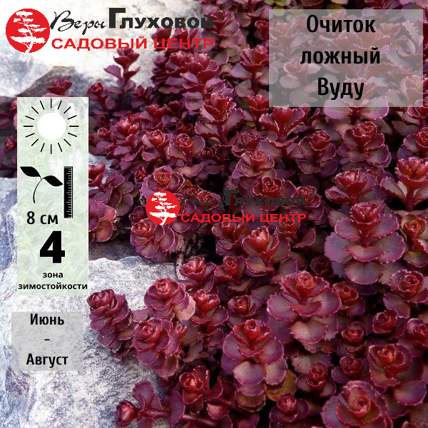 Основное изображение товара