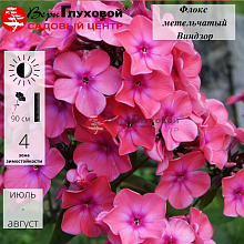 Основное изображение товара