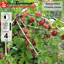 Рисунок 112.jpg