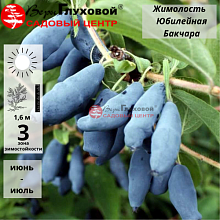 Основное изображение товара