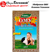 Основное изображение товара