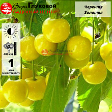 Основное изображение товара