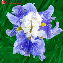 Основное изображение товара