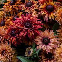 Основное изображение товара