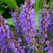 Основное изображение товара