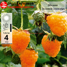 Рисунок 136.jpg