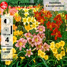 Основное изображение товара