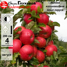 Основное изображение товара