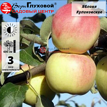 Основное изображение товара