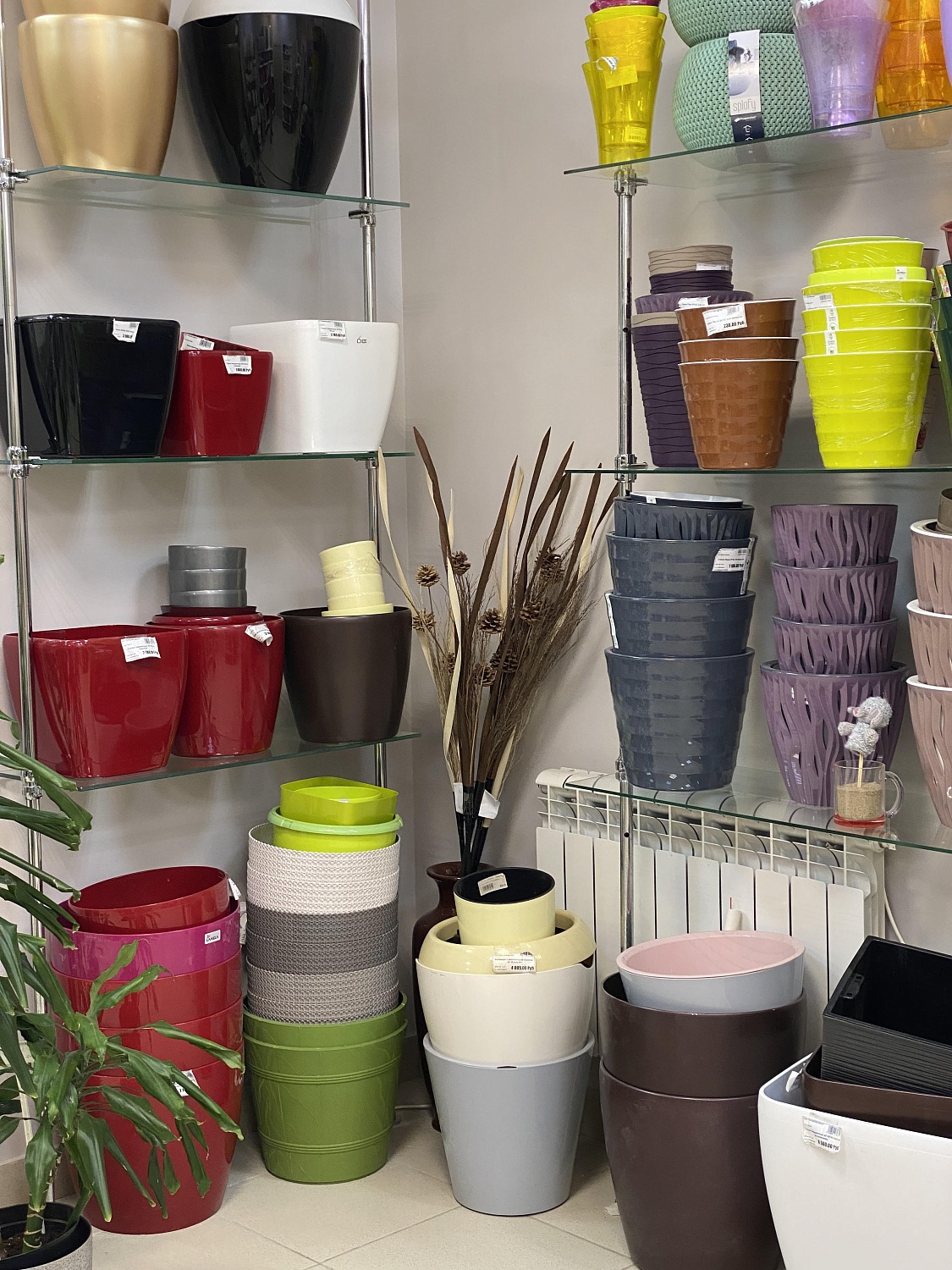 АКЦИЯ: скидка -50% на керамику, -30% на комнатные растения