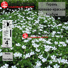 Основное изображение товара